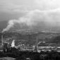 Keterangan: Pabrik pengolahan kayu eukaliptus PT Toba Pulp Lestari Tbk di Porsea, Kabupaten Toba | Sumber: Project Multatuli/Tonggo Simangunsong