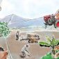 Ilustrasi Reforma Agraria | Sumber: BanggaiNews.com