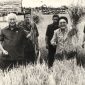 Presiden Soeharto dan Ibu Tien Soeharto mengangkat ikatan tanaman padi saat menghadiri panen raya di lokasi transmigrasi Tanah Miring III, Kab. Manokwari, Irian Jaya, Sabtu (7/5/1994), saat melakukan kunjungan kerja di propinsi paling timur itu selama dua hari (6-7 Mei 1994). | Sumber: Kompas.com/Dokumentasi Antara