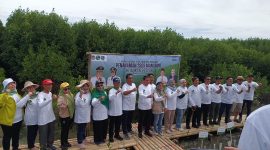 Kegiatan Tanam Dua Ribu Mangrove di kawasan Ketapang Urban Aquaculture, Mauk, pesisir Kabupaten Tangerang. | Dokumentasi: Humas Kegiatan