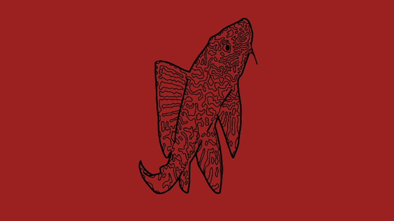 Ilustrasi : JagatSatwaNusantara.id
