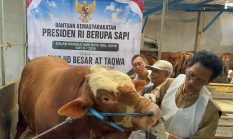 Jangan Gaduh Karena Banpres, Ibadah Kurban Seharusnya Membawa Kebahagiaan