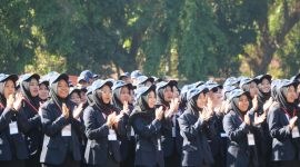 Mahasiswa Baru Universitas Jember Tahun Angkatan 2024