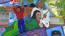Ilustrasi : WeAct.org / Growing the Roots of Ecofeminism