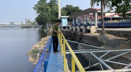 Foto: PENAMARA/Ari Sujatmiko