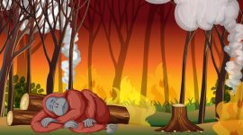 Ilustrasi : magnific.com